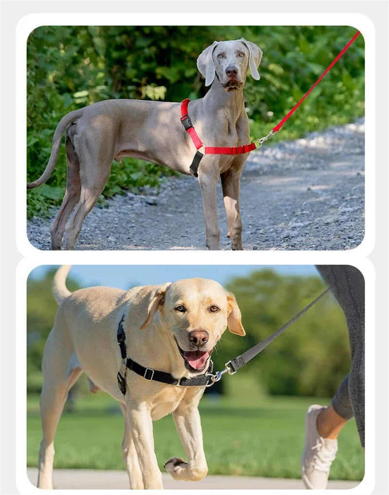 Medium Big Dogs Vest Harness Anti Break Solid Nylon Chest Traction Durable Husky Adjustable Walking Training Pet Accessories