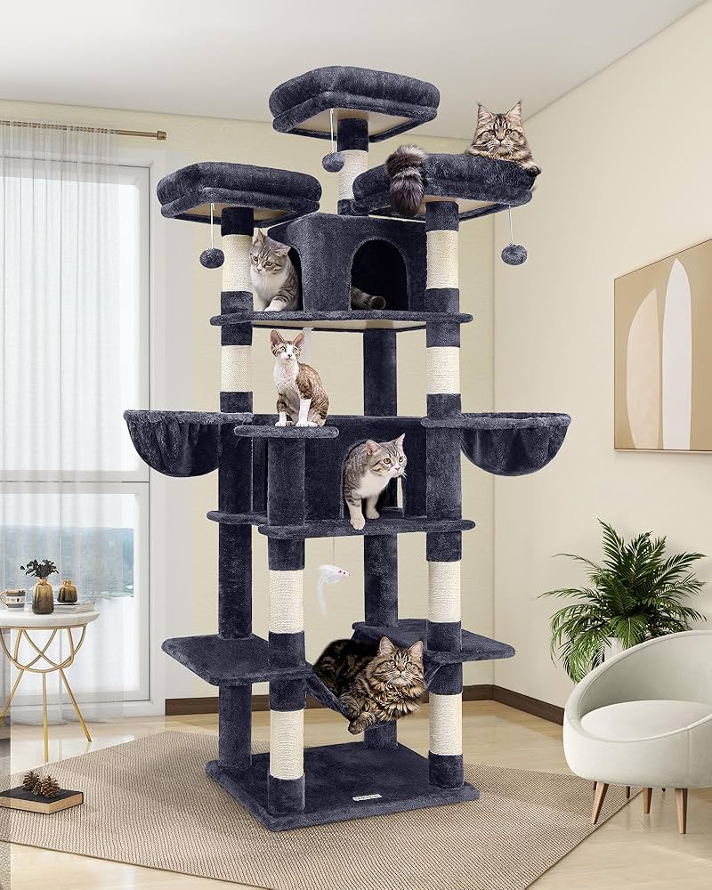 Pet Homes