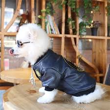 Dog Costumes