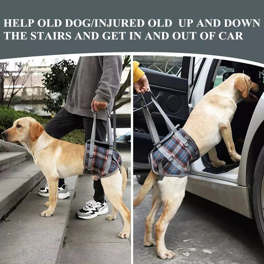 Adjustable Dog Support Harness for Front and Rear Legs Lifting Rehabilitation Vest for Old Dogs with Disabilities Pet Supplies