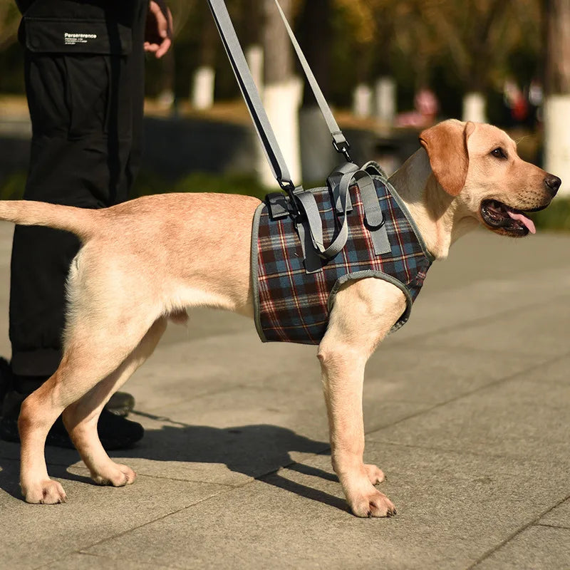 Adjustable Dog Support Harness for Front and Rear Legs Lifting Rehabilitation Vest for Old Dogs with Disabilities Pet Supplies