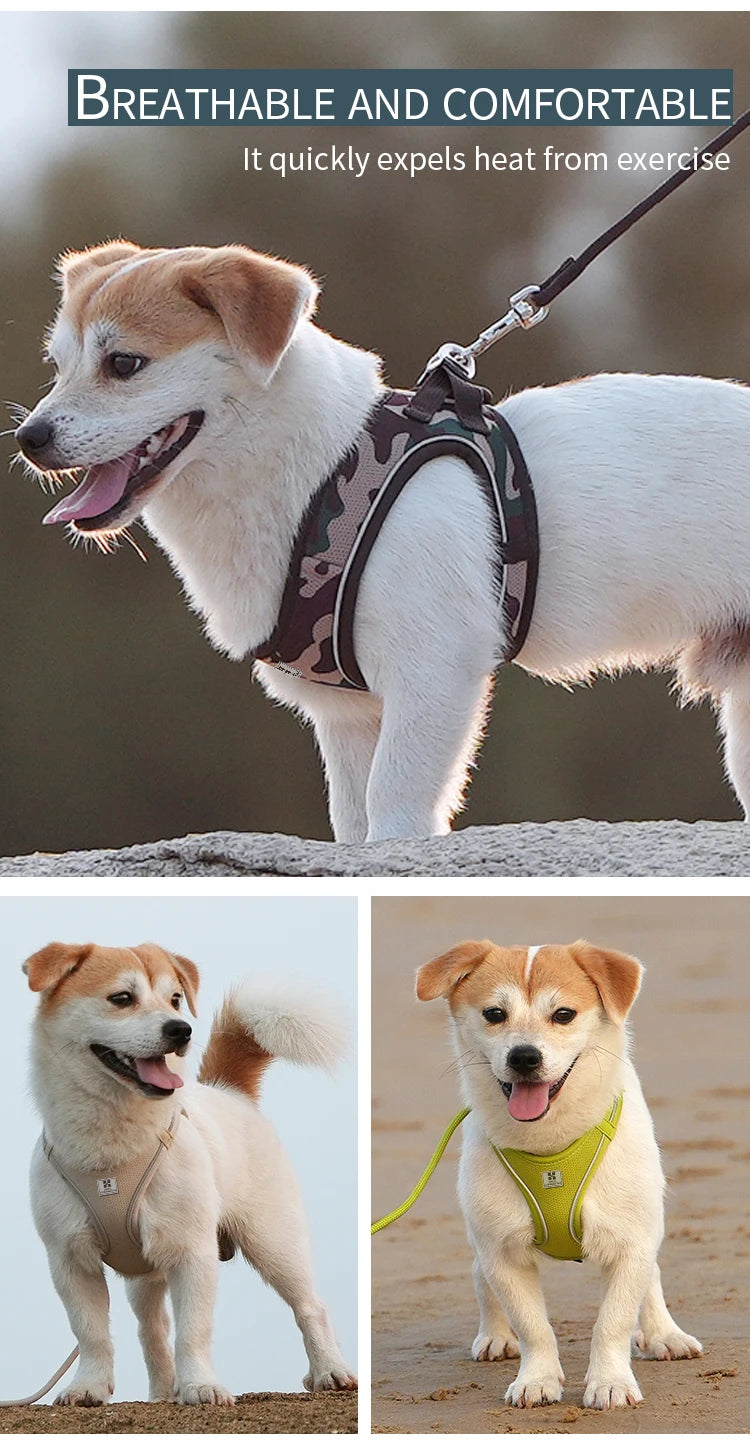 Dog Harness Leash Set for Small Medium Dog Adjustable Reflective Puppy Cat Harness Pet Vest Chihuahua Dachshund Outdoor Walking