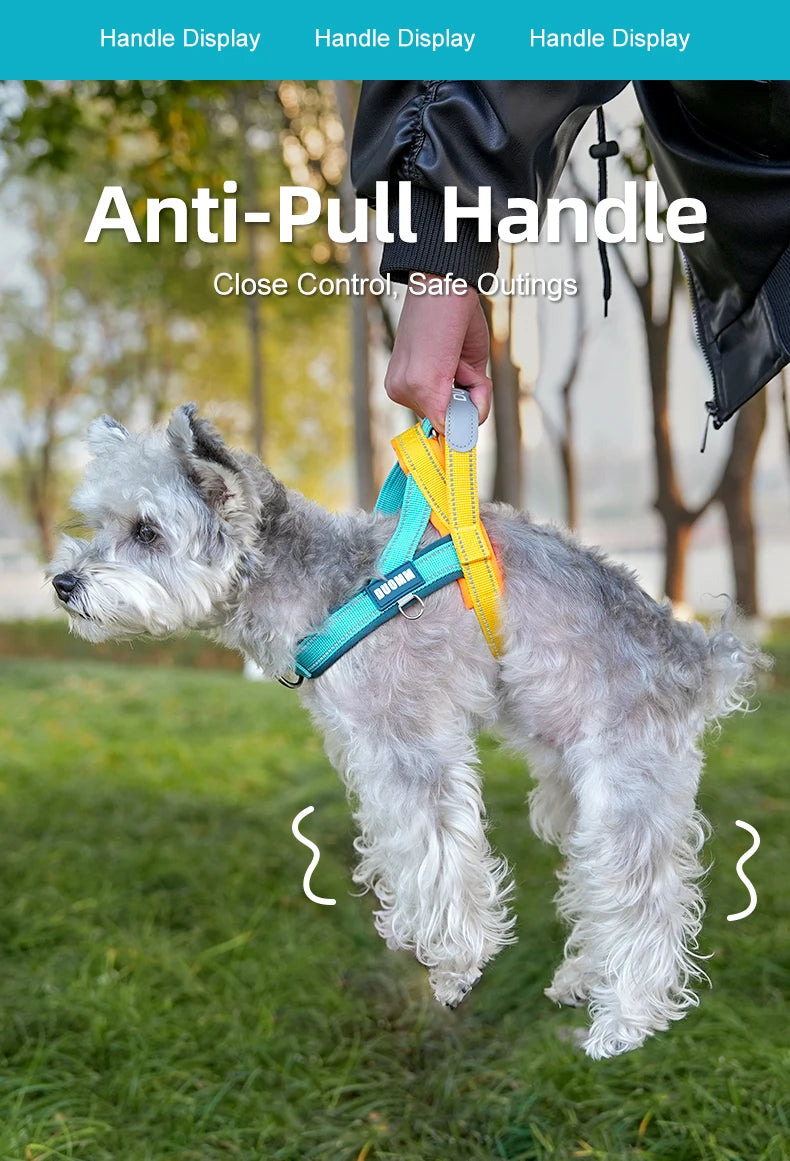 Dog Harness No Pull T-Shape Breathable Spring Summer Soft Padded Reflective Daily Outdoor Step In Walking Pet Harness Hiking