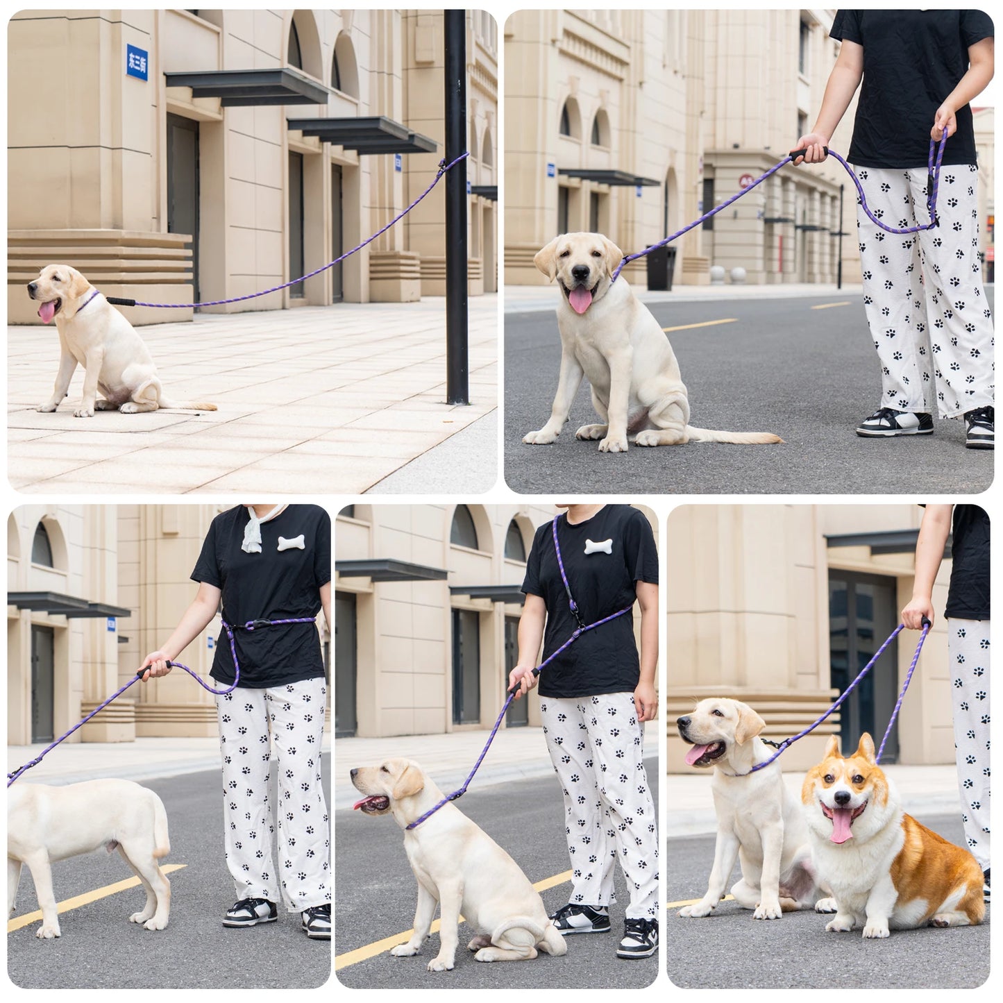 Versatile Heavy Duty Dog Leash with Padded Handle, Easy Converted to Double Leashes, 7.5 FT, Hands Free, Cross-Body or Waist Lea