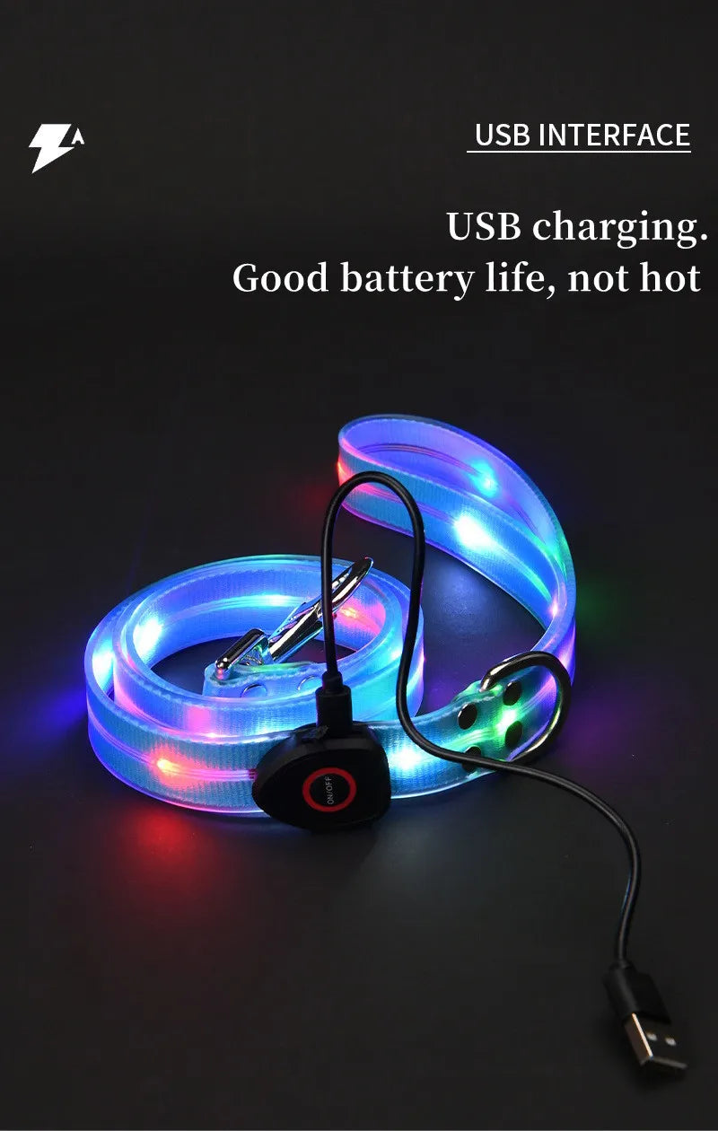 Pet light-up collar leash LED flashing collar USB charging dog walking pulling belt adjustable dog collar fashion pet supplies