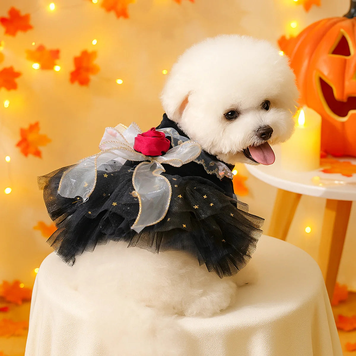 2025 Halloween Pet Costumes – Witch Bride Dress with Pumpkin & Skull Design for Dogs & Cats  – Elegant Lace Dress Gothic Pirate