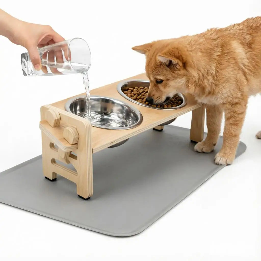 Elevated Puppy Bowls Food Mat Raised Dishes Food and Water Feeder 15° Tilted Stand 2 Stainless Steel Bowls for Small Dogs Cats