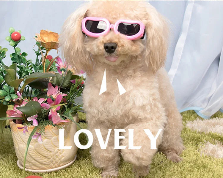 Pet Supplies Fashionable Cats Dogs Sunglasses Windproof Dustproof Pet Goggles Outdoor Travel Uv-protective Glasses Summer