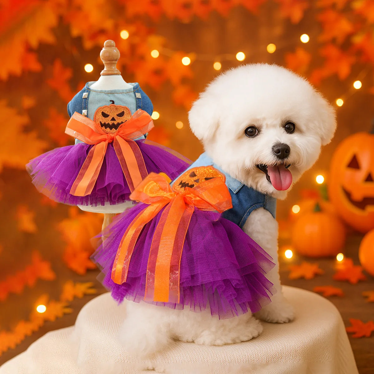 2025 Halloween Pet Costumes – Witch Bride Dress with Pumpkin & Skull Design for Dogs & Cats  – Elegant Lace Dress Gothic Pirate