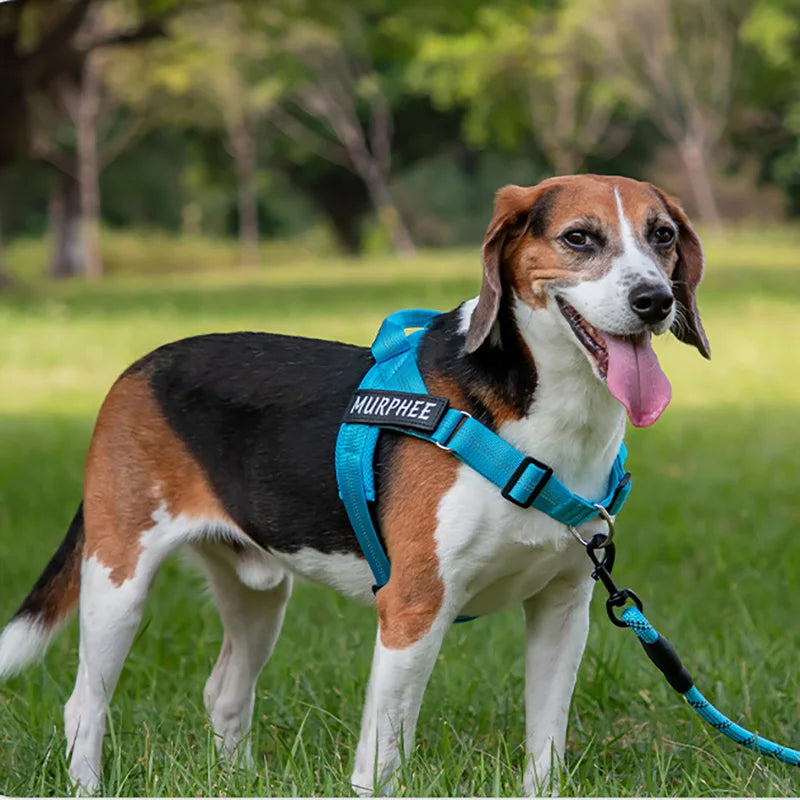 Personalized Dog Harness Reflective Adjustable Dog Harness Vest For small Medium large Dog Harness Vest Training Walking Running