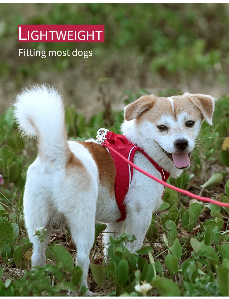 Dog Harness Leash Set for Small Medium Dog Adjustable Reflective Puppy Cat Harness Pet Vest Chihuahua Dachshund Outdoor Walking