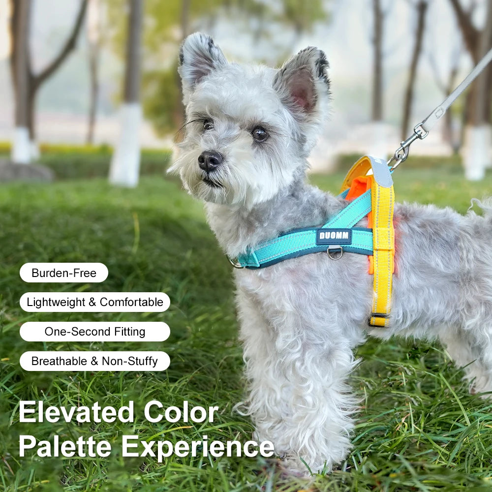 Dog Harness No Pull T-Shape Breathable Spring Summer Soft Padded Reflective Daily Outdoor Step In Walking Pet Harness Hiking