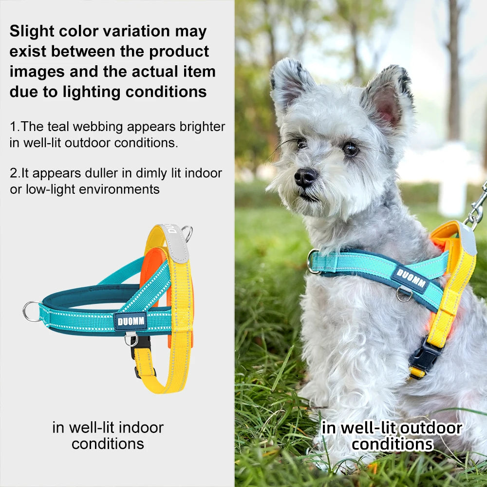 Dog Harness No Pull T-Shape Breathable Spring Summer Soft Padded Reflective Daily Outdoor Step In Walking Pet Harness Hiking