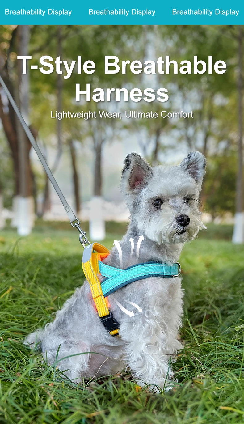 Dog Harness No Pull T-Shape Breathable Spring Summer Soft Padded Reflective Daily Outdoor Step In Walking Pet Harness Hiking