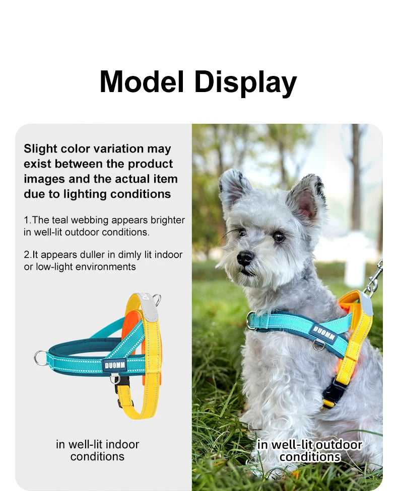 Dog Harness No Pull T-Shape Breathable Spring Summer Soft Padded Reflective Daily Outdoor Step In Walking Pet Harness Hiking
