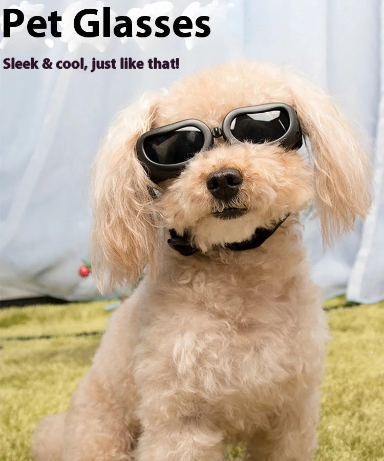 Pet Supplies Fashionable Cats Dogs Sunglasses Windproof Dustproof Pet Goggles Outdoor Travel Uv-protective Glasses Summer