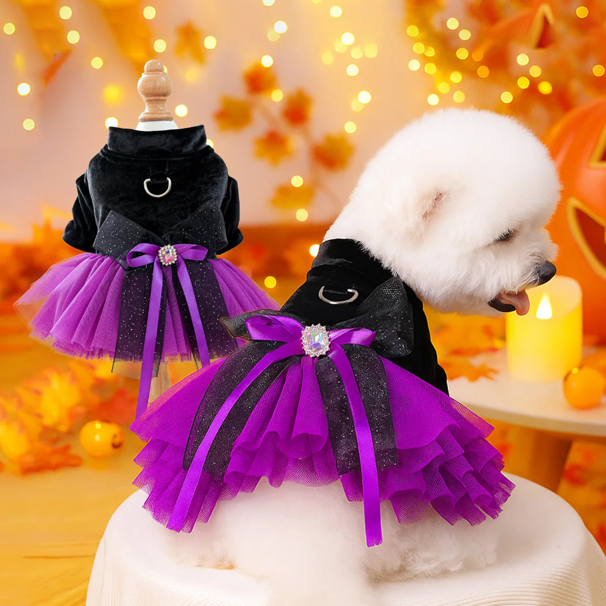 2025 Halloween Pet Costumes – Witch Bride Dress with Pumpkin & Skull Design for Dogs & Cats  – Elegant Lace Dress Gothic Pirate
