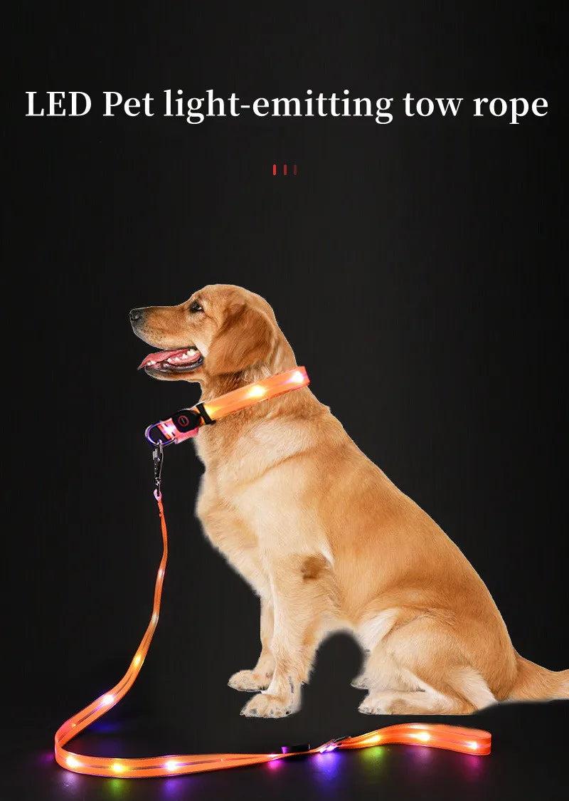 Pet light-up collar leash LED flashing collar USB charging dog walking pulling belt adjustable dog collar fashion pet supplies