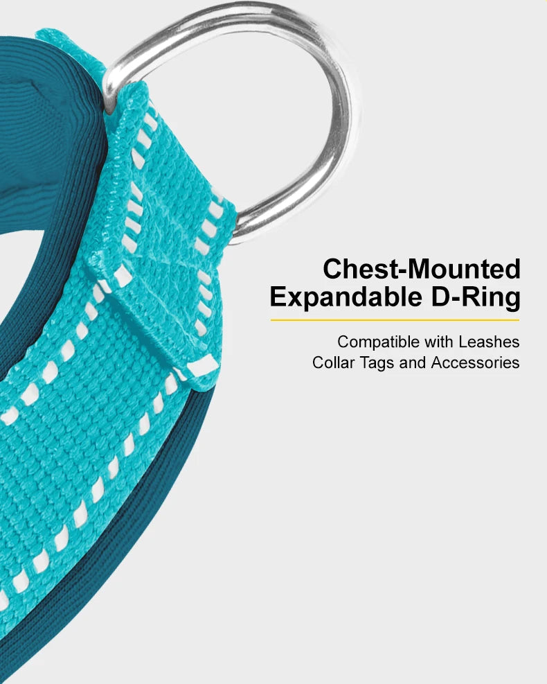 Dog Harness No Pull T-Shape Breathable Spring Summer Soft Padded Reflective Daily Outdoor Step In Walking Pet Harness Hiking