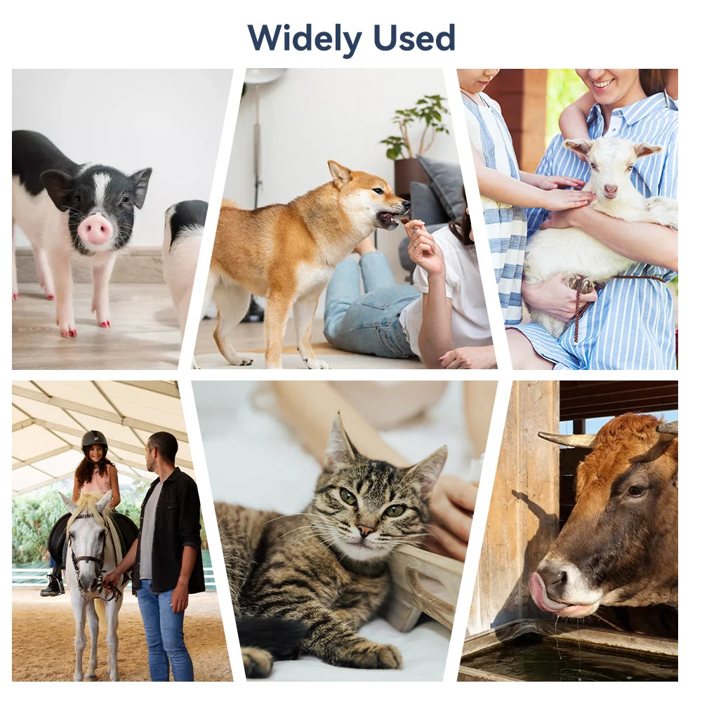 WENMEICE Infrared Pet Dog Cat Veterinary Thermometer Medical Animal Electronic Thermometer Non-contact Home Veterinary Equipment