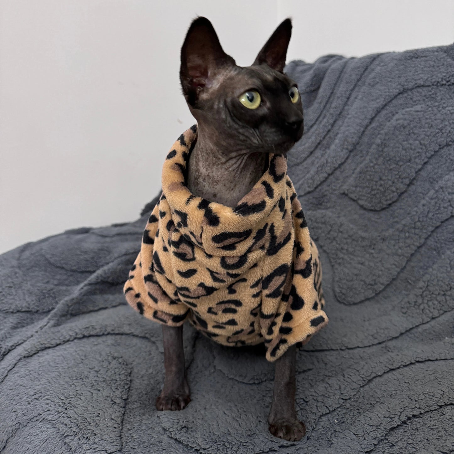 Cat Clothes Fashion Winter Soft Warm for Sphynx Cat Clothing Comfort Thickened Hairless Cat Kitten Outfits Clothes