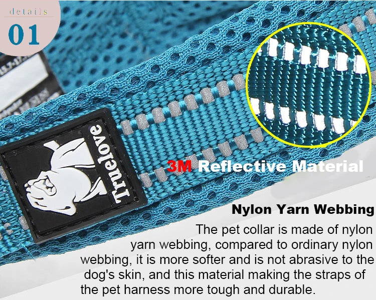Winhyepet Dog Walking Collar Comfort Padded with Buckle Nylon Traveling Collar Tactical Dog Suplies 11 Colors Size XXS-XXXL